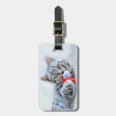 Cute Gray Tabby Cat met kerstPet Xmas Bagagelabel (Voorkant verticaal)