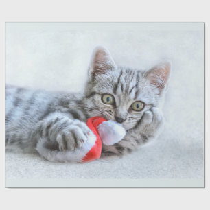 Cute Gray Tabby Cat met kerstPet Xmas Cadeaupapier
