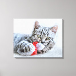 Cute Gray Tabby Cat met kerstPet Xmas Canvas Afdruk