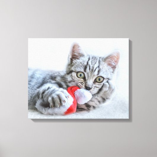 Cute Gray Tabby Cat met kerstPet Xmas Canvas Afdruk (Voorkant)