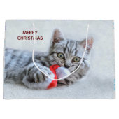 Cute Gray Tabby Cat met kerstPet Xmas Groot Cadeauzakje (Voorkant)