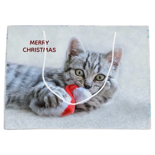 Cute Gray Tabby Cat met kerstPet Xmas Groot Cadeauzakje (Voorkant)