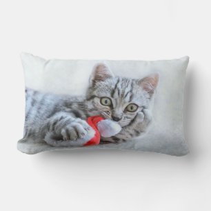 Cute Gray Tabby Cat met kerstPet Xmas Kussen
