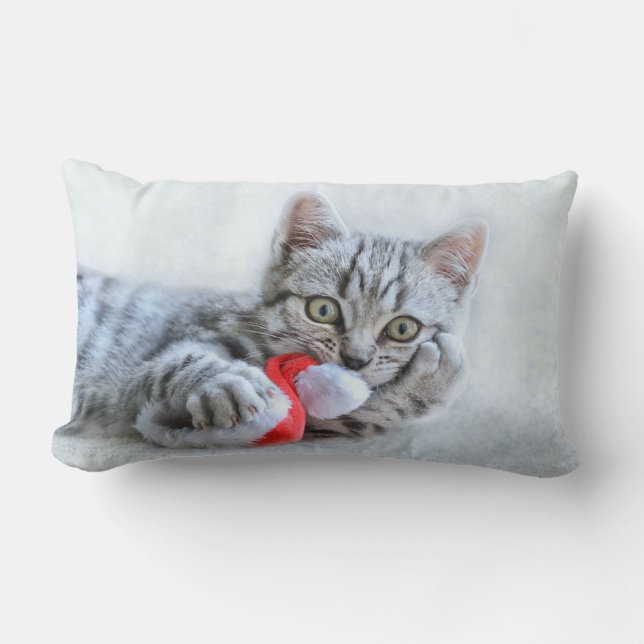 Cute Gray Tabby Cat met kerstPet Xmas Kussen (Voorkant)