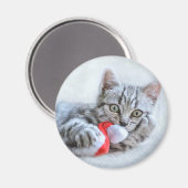 Cute Gray Tabby Cat met kerstPet Xmas Magneet (Voorkant / Achterkant)