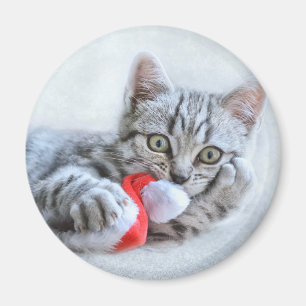 Cute Gray Tabby Cat met kerstPet Xmas Magneet