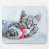 Cute Gray Tabby Cat met kerstPet Xmas Muismat (Voorkant)