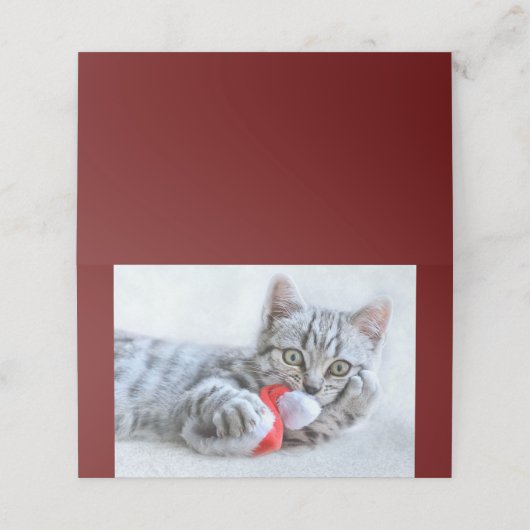 Cute Gray Tabby Cat met kerstPet Xmas Plaatskaartje (Buitenkant ongevouwen)