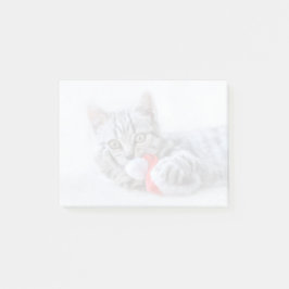 Cute Gray Tabby Cat met kerstPet Xmas Post-it® Notes