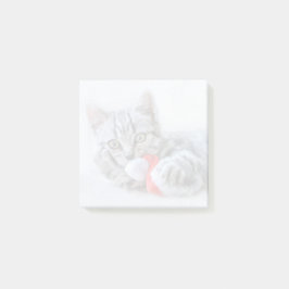Cute Gray Tabby Cat met kerstPet Xmas Post-it® Notes