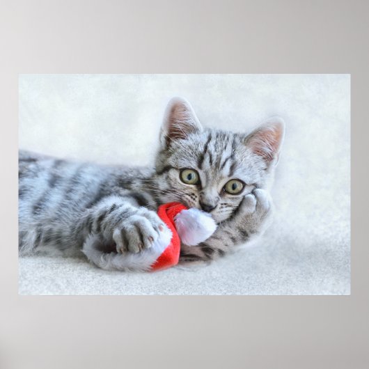 Cute Gray Tabby Cat met kerstPet Xmas Poster (Voorkant)