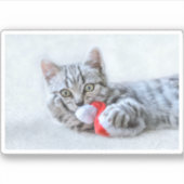 Cute Gray Tabby Cat met kerstPet Xmas Sticker (Voorkant)