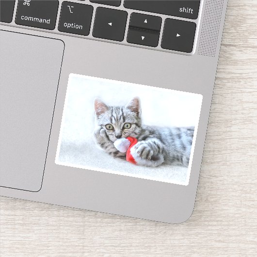 Cute Gray Tabby Cat met kerstPet Xmas Sticker (Detail)