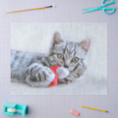 Cute Gray Tabby Cat met kerstPet Xmas Tissuepapier (Craft)