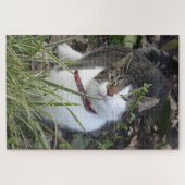 Cute Gray White Cat Puzzle Legpuzzel (Horizontaal)