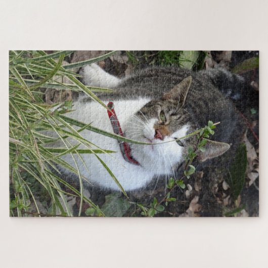 Cute Gray White Cat Puzzle Legpuzzel (Horizontaal)