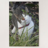Cute Gray White Cat Puzzle Legpuzzel (Verticaal)
