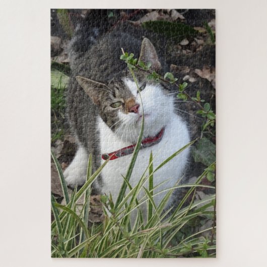 Cute Gray White Cat Puzzle Legpuzzel (Verticaal)