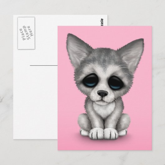 Cute Gray Wolf Cub Puppy op Roze Briefkaart (Voorkant / Achterkant)