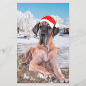 Cute Great Dane Dog Sitting in Snow-Kerstmis-Pet Briefpapier (Voorkant)