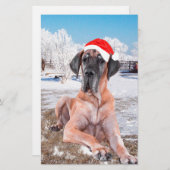 Cute Great Dane Dog Sitting in Snow-Kerstmis-Pet Briefpapier (Voorkant / Achterkant)