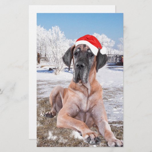 Cute Great Dane Dog Sitting in Snow-Kerstmis-Pet Briefpapier (Voorkant / Achterkant)