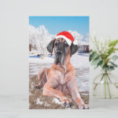 Cute Great Dane Dog Sitting in Snow-Kerstmis-Pet Briefpapier (Staand voorkant)