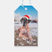 Cute Great Dane Dog Sitting in Snow-Kerstmis-Pet Cadeaulabel (Achterkant)