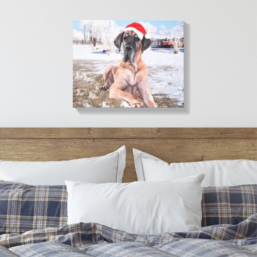 Cute Great Dane Dog Sitting in Snow-Kerstmis-Pet Canvas Afdruk (Insitu (Slaapkamer))