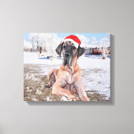 Cute Great Dane Dog Sitting in Snow-Kerstmis-Pet Canvas Afdruk (Voorkant)