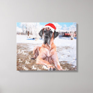 Cute Great Dane Dog Sitting in Snow-Kerstmis-Pet Canvas Afdruk