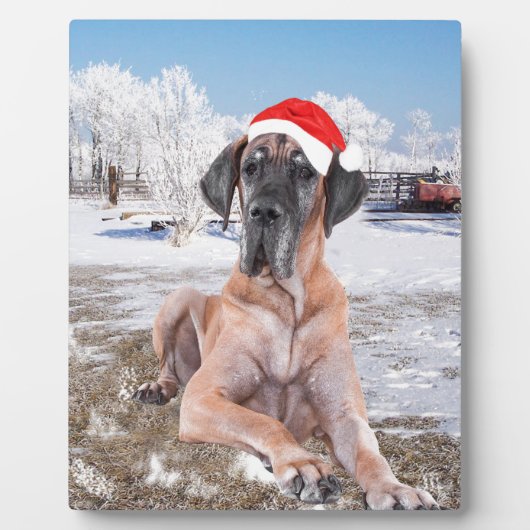 Cute Great Dane Dog Sitting in Snow-Kerstmis-Pet Fotoplaat (Voorkant)