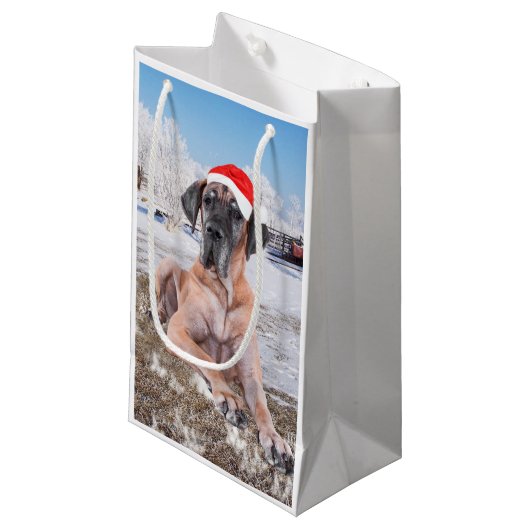 Cute Great Dane Dog Sitting in Snow-Kerstmis-Pet Klein Cadeauzakje (Voorkant Gekanteld)