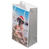 Cute Great Dane Dog Sitting in Snow-Kerstmis-Pet Klein Cadeauzakje (Achterkant Gekanteld)