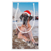 Cute Great Dane Dog Sitting in Snow-Kerstmis-Pet Klein Cadeauzakje (Voorkant)