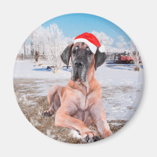 Cute Great Dane Dog Sitting in Snow-Kerstmis-Pet Magneet
