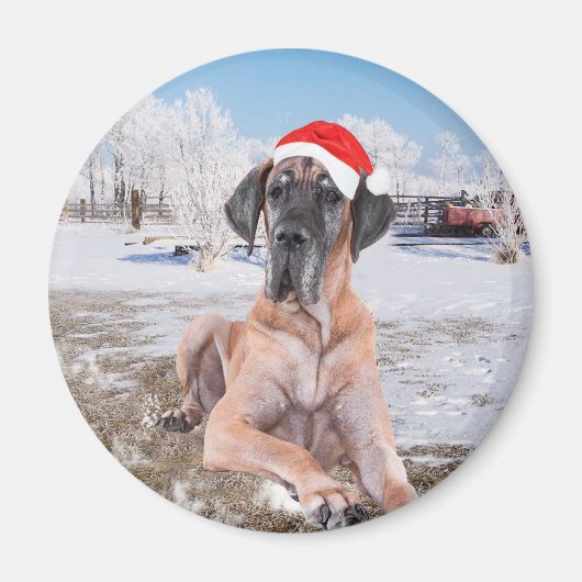 Cute Great Dane Dog Sitting in Snow-Kerstmis-Pet Magneet (Voorkant)