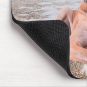 Cute Great Dane Dog Sitting in Snow-Kerstmis-Pet Muismat (Hoek)