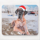 Cute Great Dane Dog Sitting in Snow-Kerstmis-Pet Muismat (Voorkant)