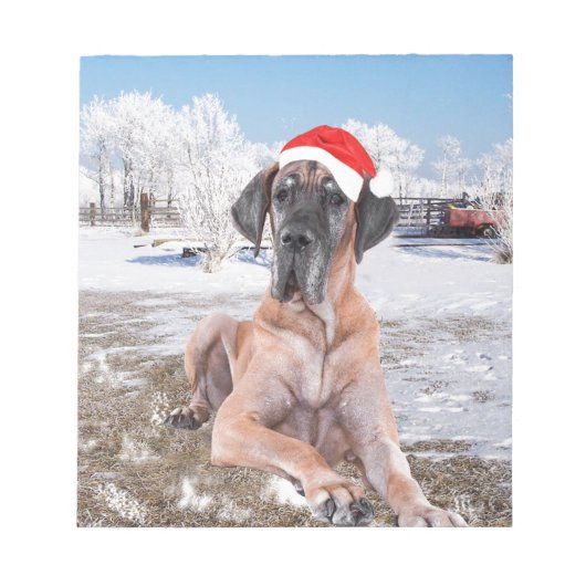 Cute Great Dane Dog Sitting in Snow-Kerstmis-Pet Notitieblok (Voorkant)