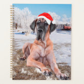 Cute Great Dane Dog Sitting in Snow-Kerstmis-Pet Planner (Voorkant)