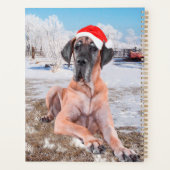 Cute Great Dane Dog Sitting in Snow-Kerstmis-Pet Planner (Achterkant)