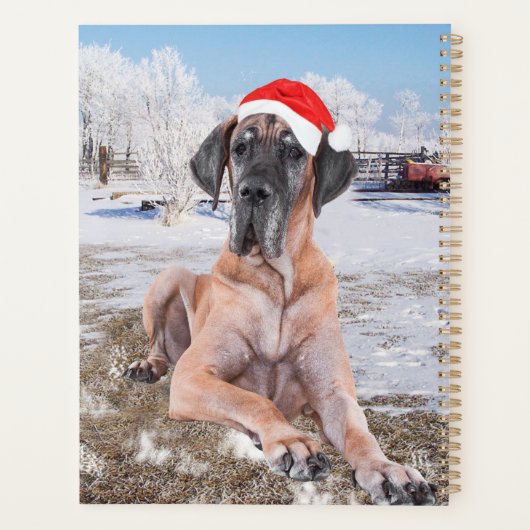 Cute Great Dane Dog Sitting in Snow-Kerstmis-Pet Planner (Achterkant)