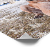 Cute Great Dane Dog Sitting in Snow-Kerstmis-Pet Poster (Hoek)