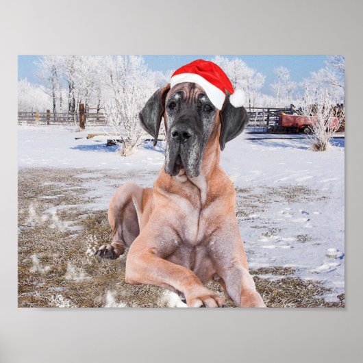 Cute Great Dane Dog Sitting in Snow-Kerstmis-Pet Poster (Voorkant)