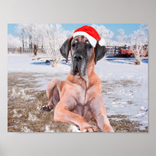 Cute Great Dane Dog Sitting in Snow-Kerstmis-Pet Poster