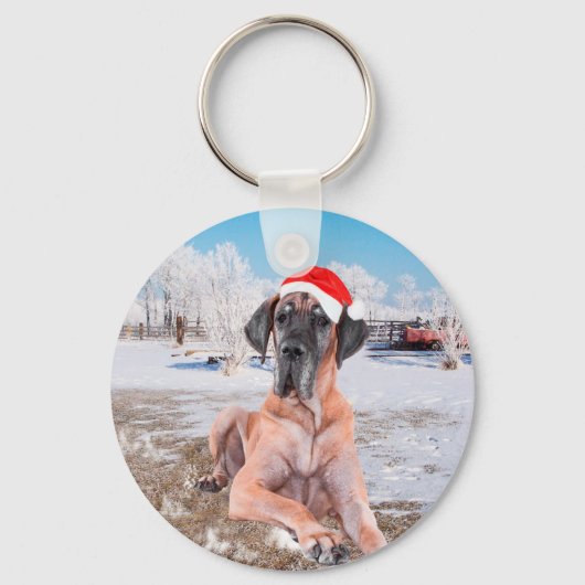 Cute Great Dane Dog Sitting in Snow-Kerstmis-Pet Sleutelhanger (Voorkant)