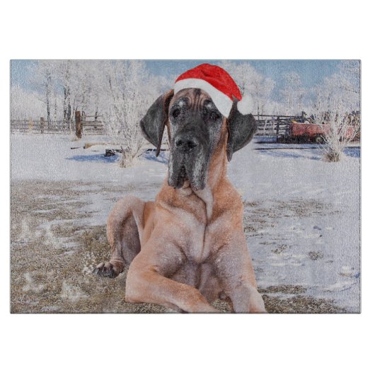 Cute Great Dane Dog Sitting in Snow-Kerstmis-Pet Snijplank (Voorkant)