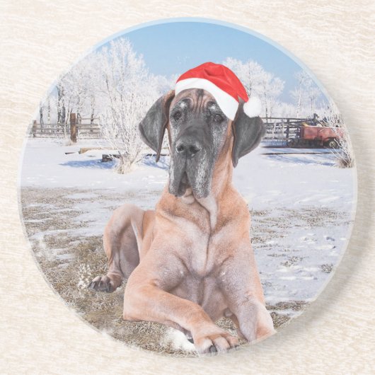 Cute Great Dane Dog Sitting in Snow-Kerstmis-Pet Zandsteen Onderzetter (Voorkant)