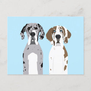 Cute Great Dane Dogs Blue Briefkaart